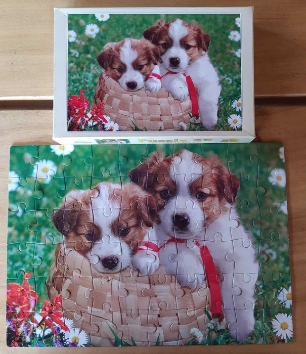 Puzzle Szczeniaczki w koszyku Axel 4 lat 60 elementów