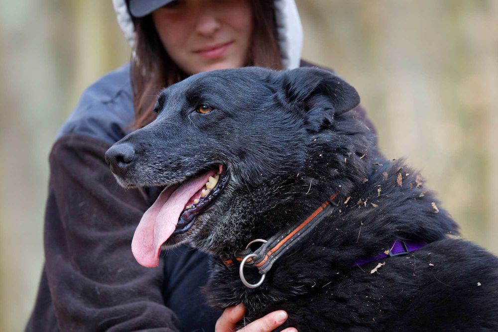 Malina-cud dziewczyna [FILM]