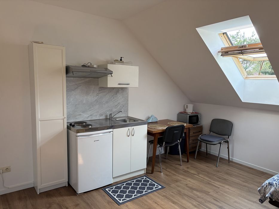 Samodzielne studio z aneksem, łazienką i osobnym wejściem