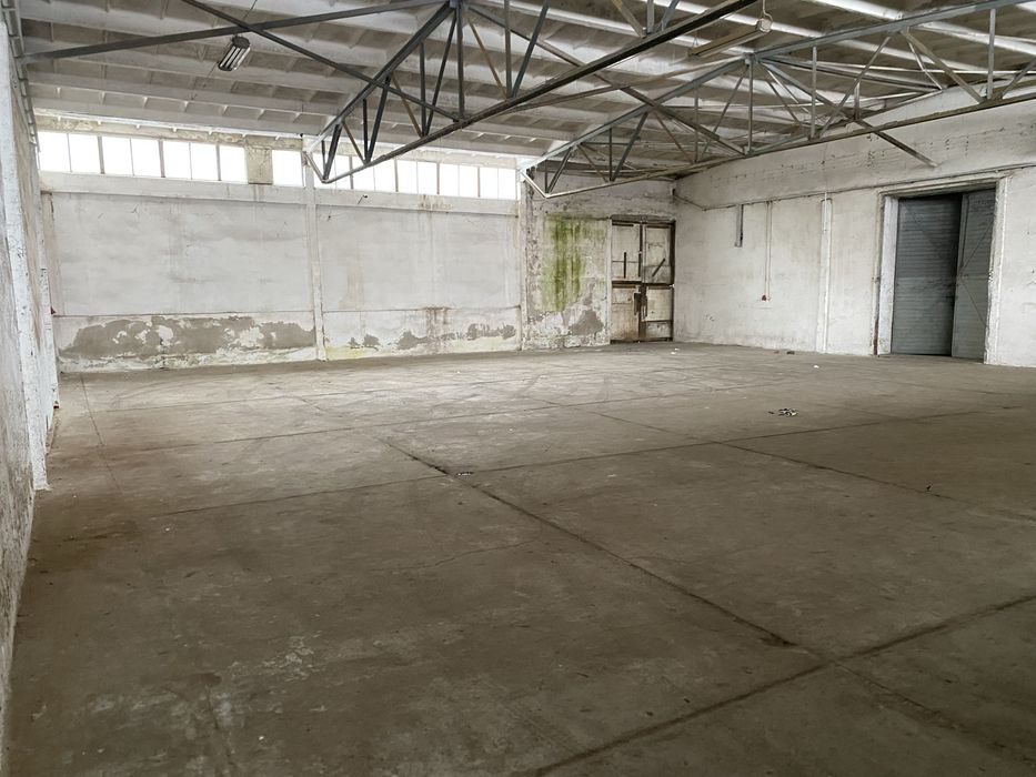 Wynajmę magazyny ,pomieszczenia suche