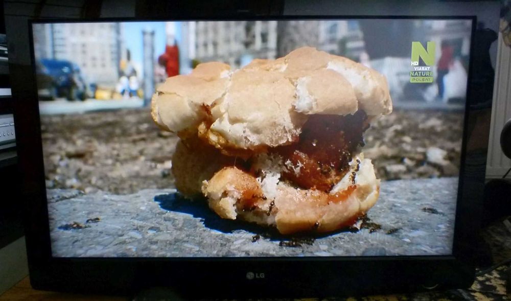 Telewizor LG 37'' 37LG3000 HDMI SCART SPRAWNY + pilot