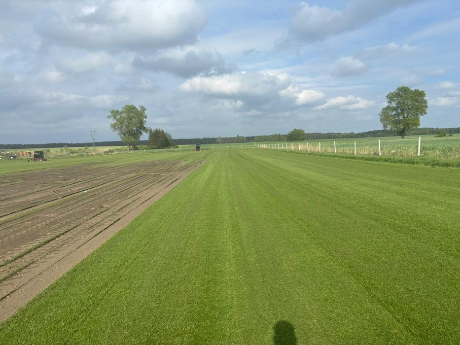 Trawa z rolki, trawnik w rolce 40m2