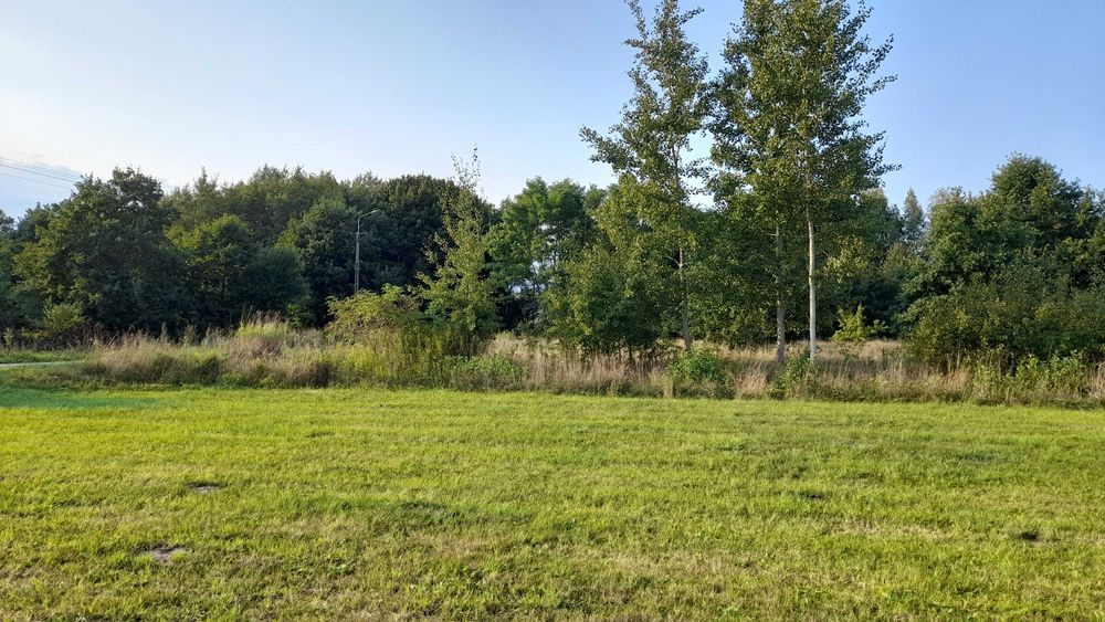 2500m2 cała BUDOWLANA, piękne miejsce, LASY,  48km od Warszawy