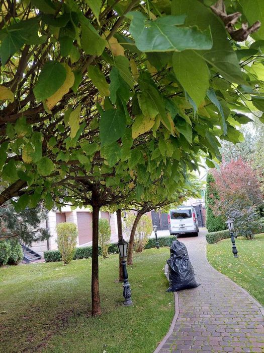 Догляд за садом. Покос газона. Підживлення/обробка рослин та газону