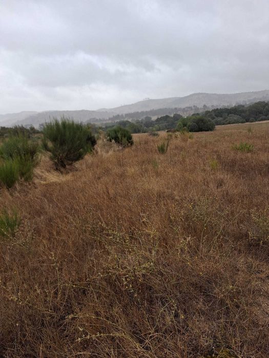 Terreno rustico com regadio do zêzêre para venda I Trigais