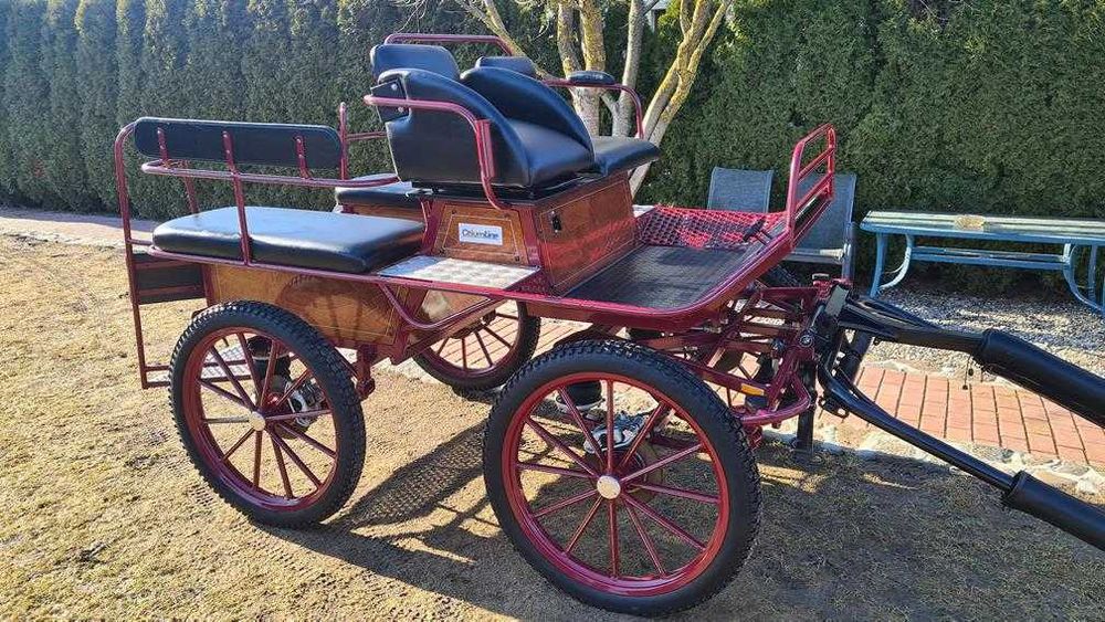 Bryczka konna Wagonetka Powóz Singiel - Para ''Glinkowski''