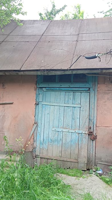 Простора садиба 0,5га (50сот.)біля  Брусилова (с.Ковганівка). Власник.