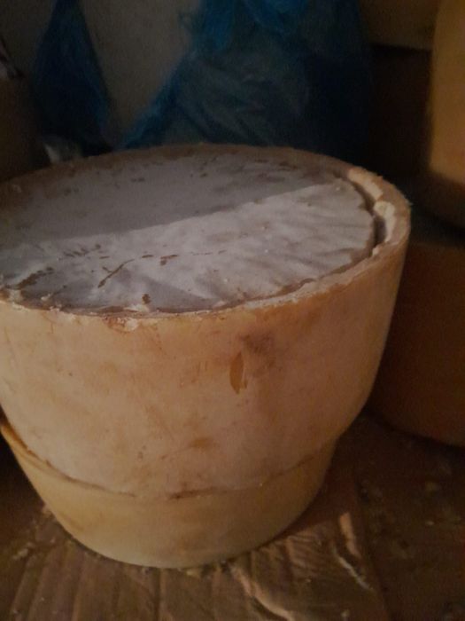 Wosk pszczeli 100% naturalny na krążki