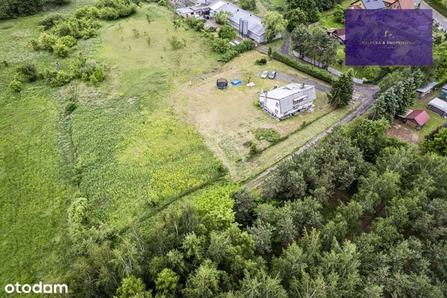 OKAZJA!!!/Działka 2000 m²/Kobylanka/NAJNIŻSZA CENA W OKOLICY - View 6