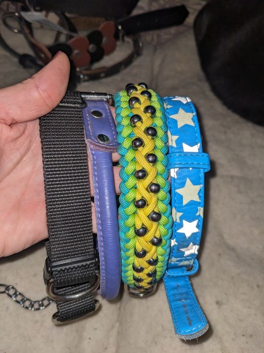 Нашийники ошейники собакам Европа крупные средние мелкие породы