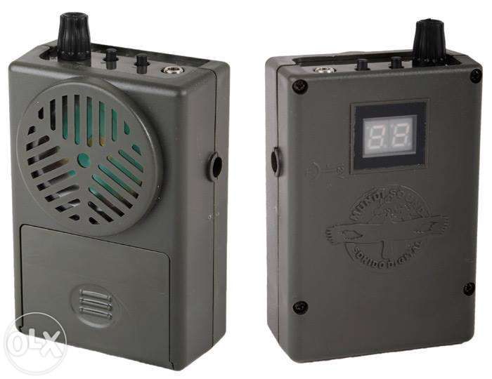 Chamariz  ultrassonico - Birdwatching