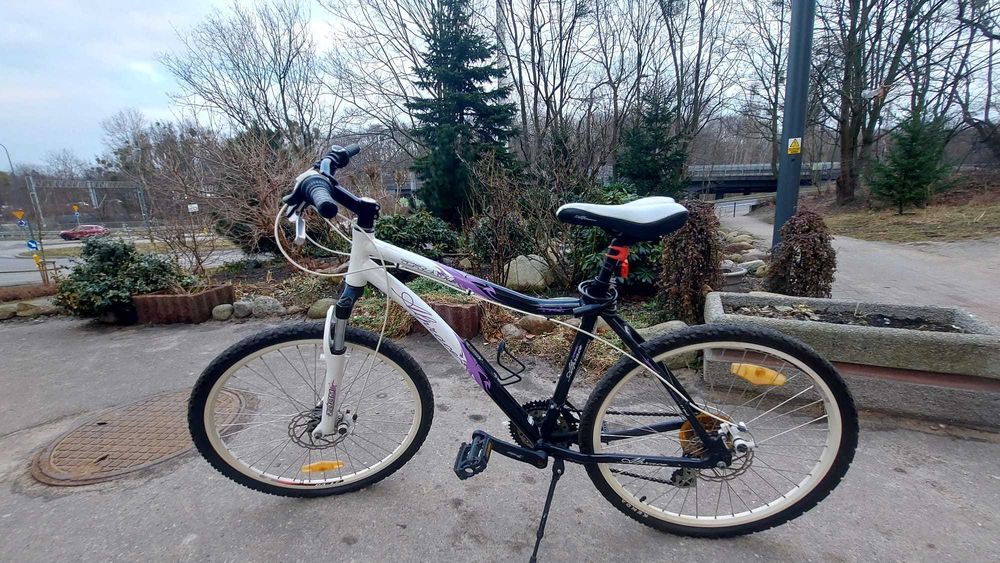 Rower górski Diamant Alprace Trail