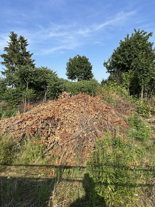 Sprzedam działkę o powierzchni 800 m2