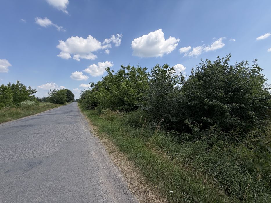 Фото ділянки