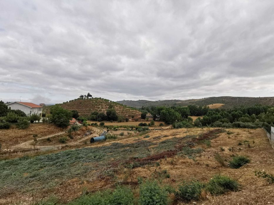 Terreno para utilização agrícola e com viabilidade de construção