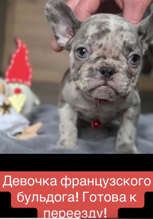 Мини! Голубые глазки девочка