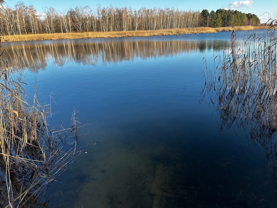 Ділянка в Кончі Заспі. Козин (Участок в Конче-Заспе)