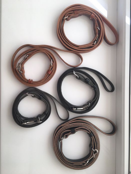 Нашийники з повідками для собак