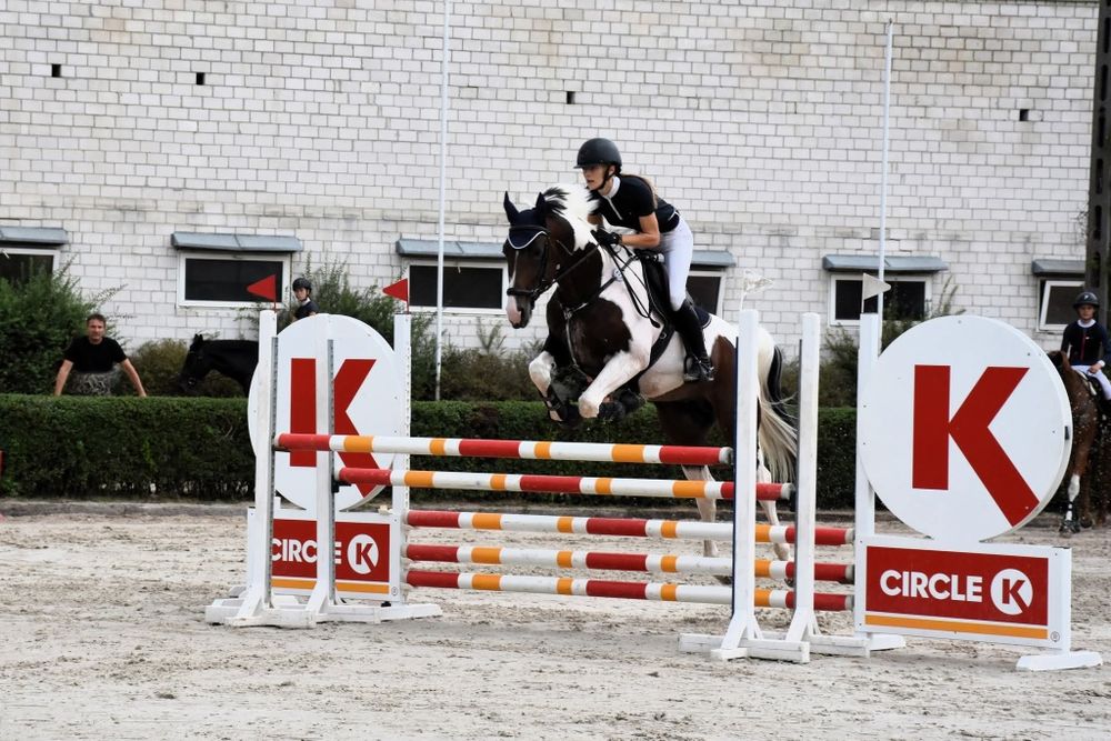 Stanówka. Ogier małopolski. Krycie