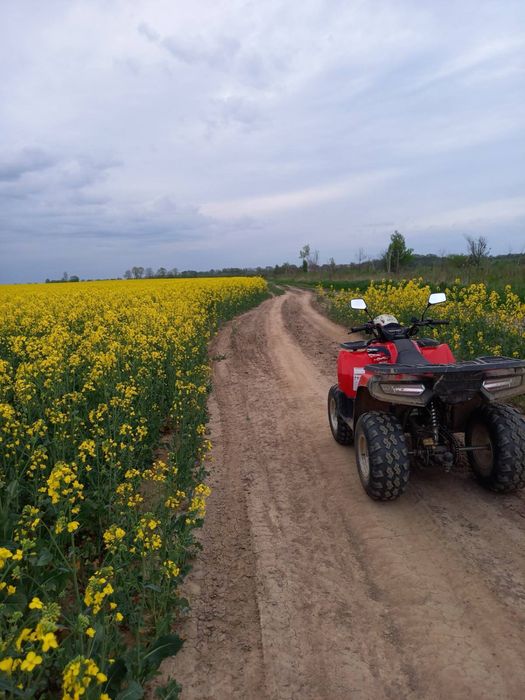 Продам квадроцикл