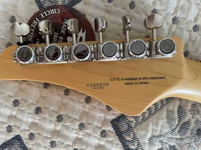 Gitara Telecaster FGN
