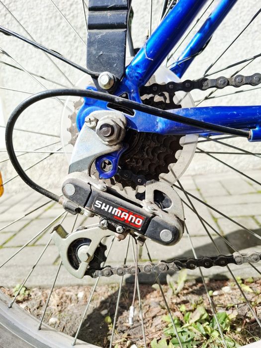 Rower Arkus Delta Trend 301