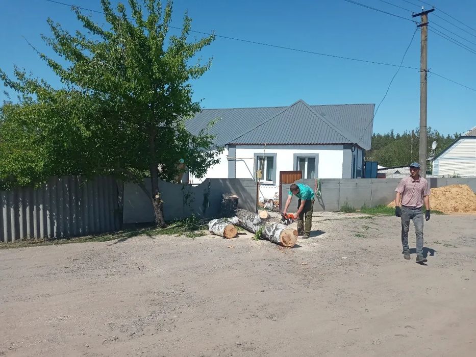 Покос травы , скос травы,  покос газонаспил деревыев демонтаж построек