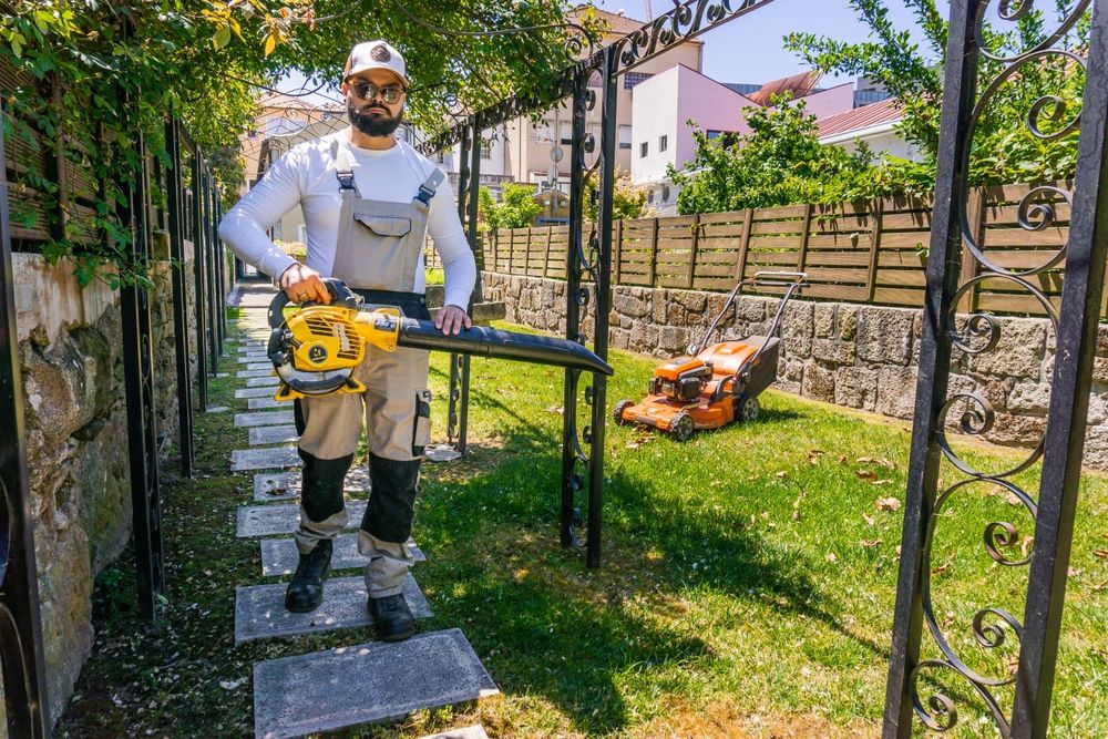 Jardinagem - serviços profissionais