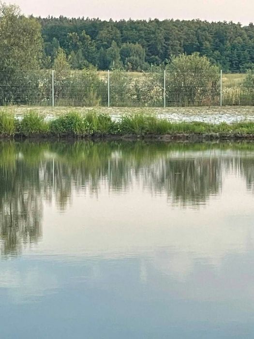 Дом с большим участком и озерами в лесу