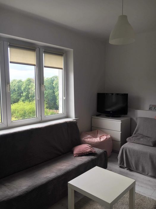 Apartment in Poznań, Grunwald, Łazarz - Widok 4