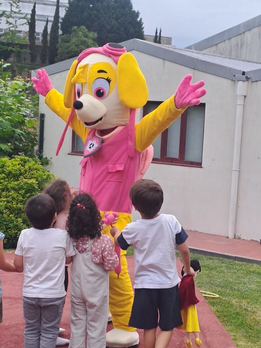 Mascotes variadas
