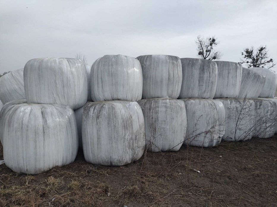 Baloty z sianokiszonki