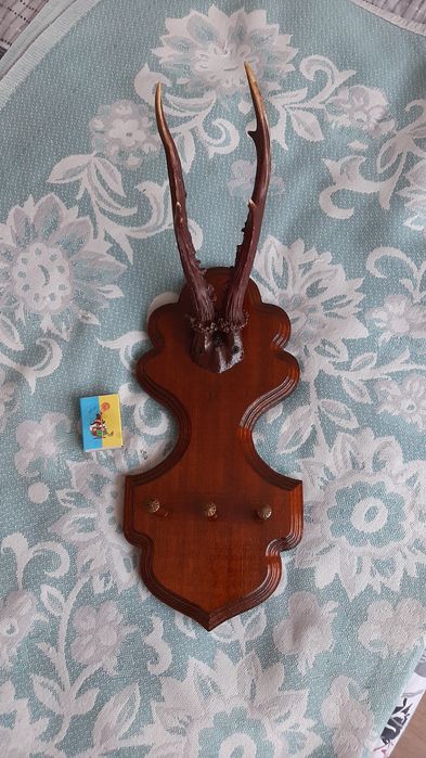 Роги дикої косулі. Продам