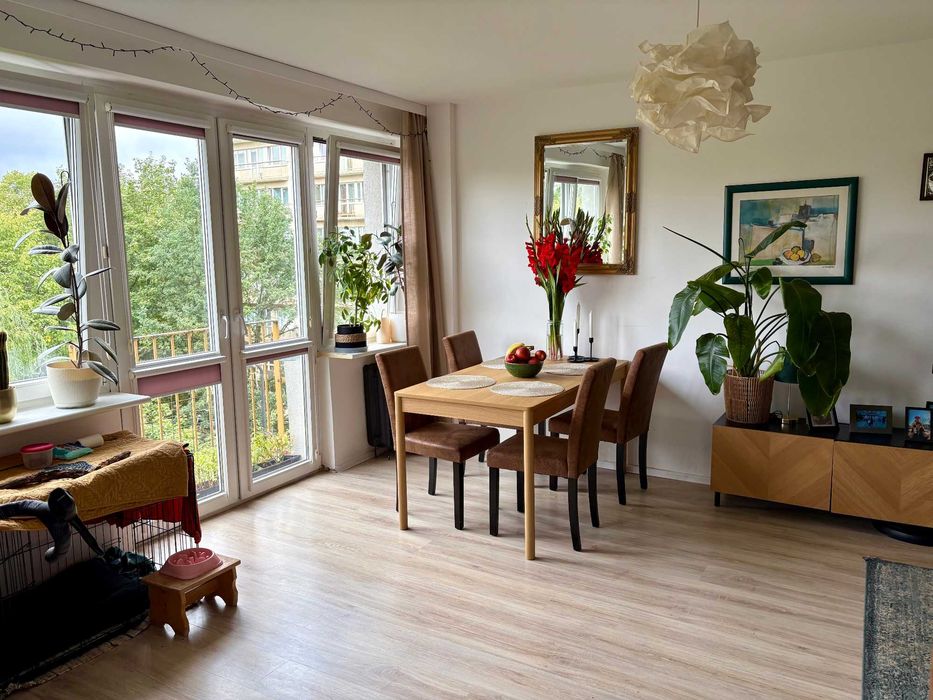Mieszkanie Odzieżowa Szczecin 47,65 m2
