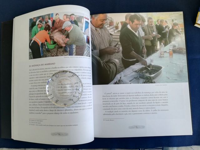 Meimoa de Ontem e de Hoje.