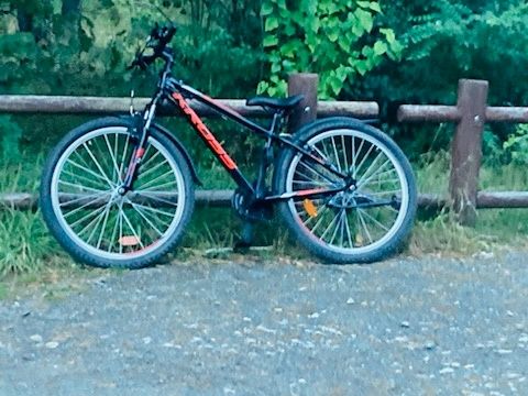 Rower Kross Rambler