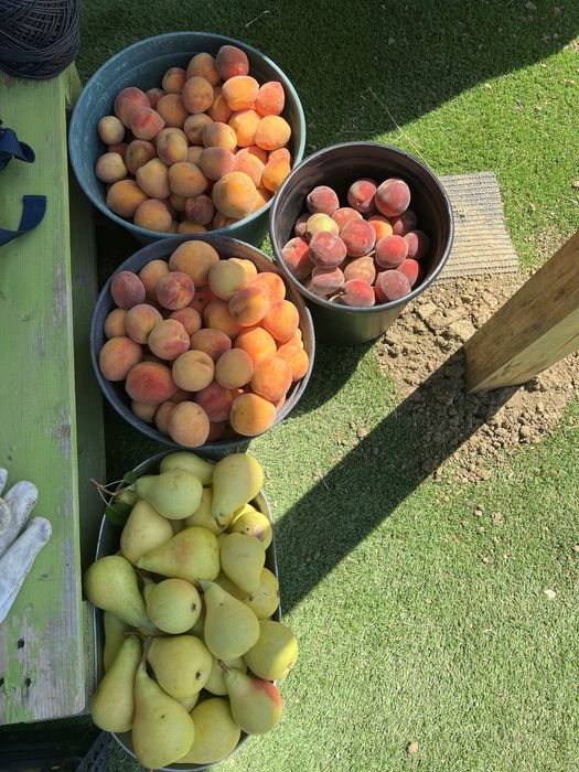 Terreno agricola de 7400m² Calhandriz - lisboa