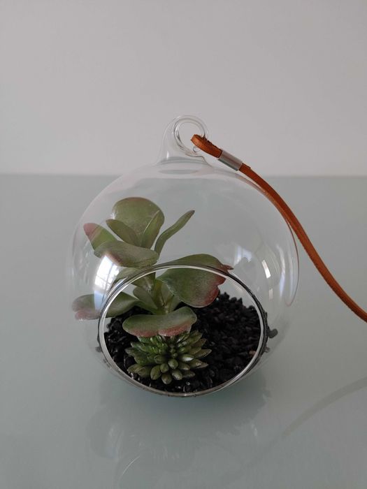 Terrário vidro com planta