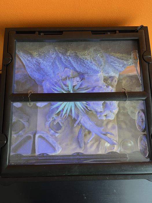 Terrário ExoTerra 30x30x30 – Totalmente Equipado