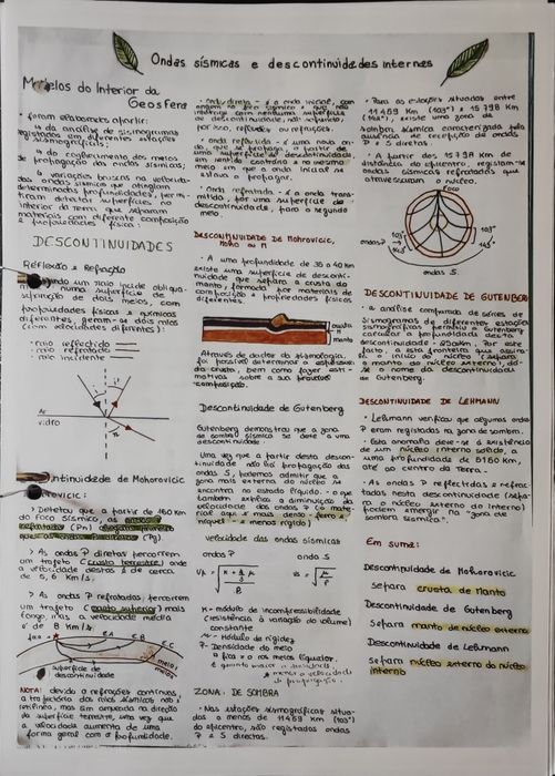 Resumos Biologia e Geologia 10°ano (30pags)