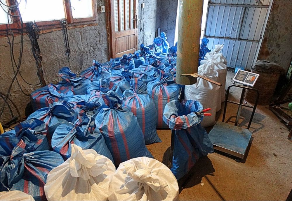 Żyto sprzedam workowane po 25 kg