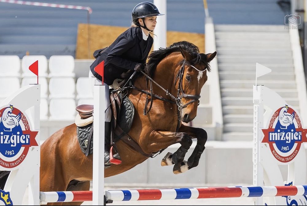 12-letnia klacz