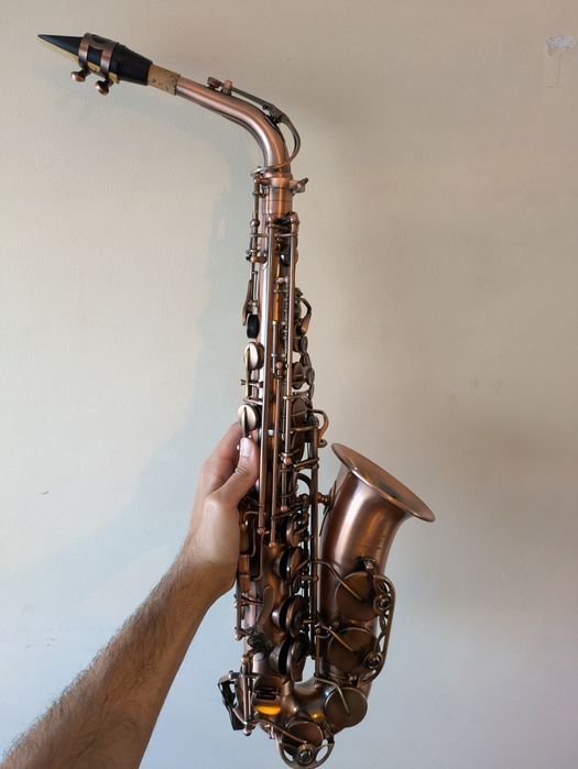 Saxofone Alto completo