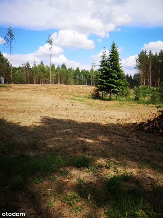 Kaszuby sprzedam działki budowlane – Struga, gmina Stara Kiszewa