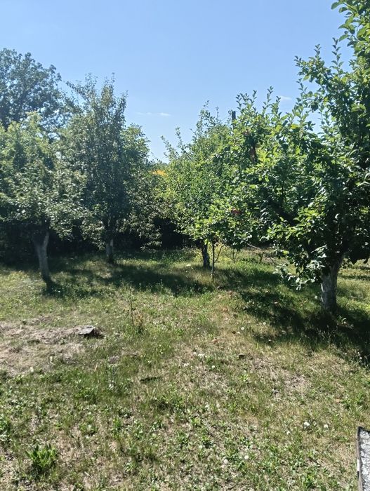 Продається дачна ділянка 21 сот