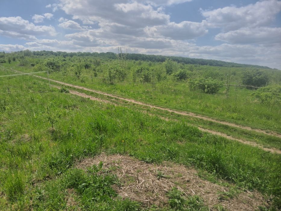 Продам земельну ділянку під забудову