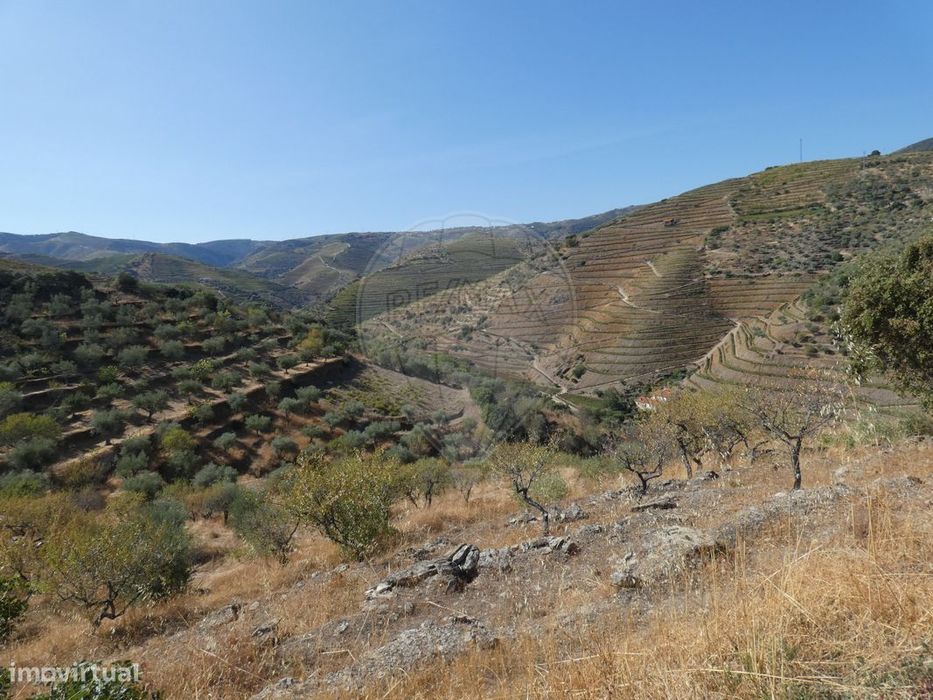 Terreno  para venda — Vale de Figueira, Viseu