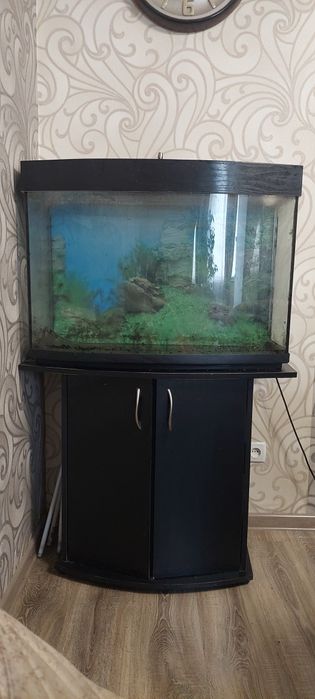 Акваріум на 160 літрів з тумбою та  кришкою