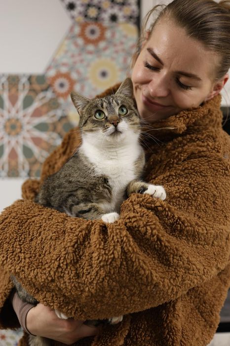 Kotka 10 msc do adopcji