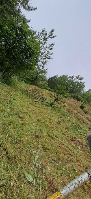 Prestação de serviços